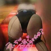 ヒメ日記 2026/03/09 12:13 投稿 梶（かじ） 丸妻 錦糸町店