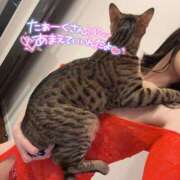 ヒメ日記 2026/07/23 18:15 投稿 ゆうひ カワサキ EROTIC