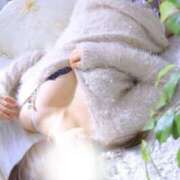 ヒメ日記 2026/02/24 15:15 投稿 大木りお コウテイ