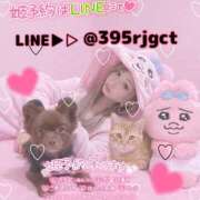 ヒメ日記 2026/02/25 11:55 投稿 永瀬れん コウテイ