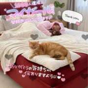 ヒメ日記 2026/03/09 19:15 投稿 永瀬れん コウテイ