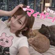ヒメ日記 2026/03/24 14:22 投稿 永瀬れん コウテイ
