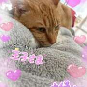 ヒメ日記 2026/04/27 13:21 投稿 永瀬れん コウテイ