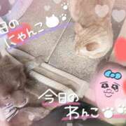 ヒメ日記 2026/04/27 17:55 投稿 永瀬れん コウテイ