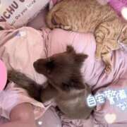 ヒメ日記 2026/05/24 15:45 投稿 永瀬れん コウテイ