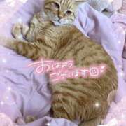 ヒメ日記 2026/05/25 11:55 投稿 永瀬れん コウテイ