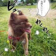 ヒメ日記 2026/06/04 15:15 投稿 永瀬れん コウテイ
