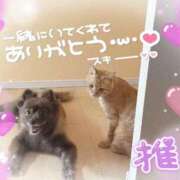 ヒメ日記 2026/06/05 15:09 投稿 永瀬れん コウテイ