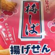 ヒメ日記 2026/02/05 17:37 投稿 めぐ clubさくら難波店