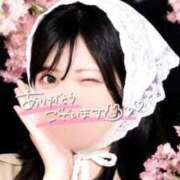 ヒメ日記 2026/03/23 19:20 投稿 あんり ごほうびSPA五反田店