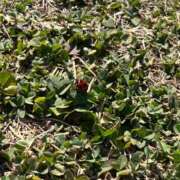 ヒメ日記 2026/02/06 14:31 投稿 サキ ピカソ