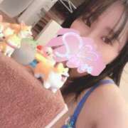 ヒメ日記 2026/04/17 11:15 投稿 サキ ピカソ