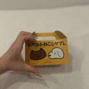 ヒメ日記 2026/05/16 18:01 投稿 さくら MOMO(モモ)