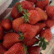 ヒメ日記 2026/03/16 10:42 投稿 すみれ ファーストレディ(博多)