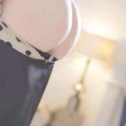 ヒメ日記 2026/03/21 07:02 投稿 すみれ ファーストレディ(博多)