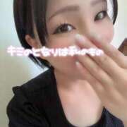 すみれ 朝から暑いね ファーストレディ(博多)