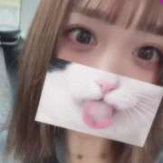 ヒメ日記 2026/04/19 22:39 投稿 かすみ★S級×爆乳最高峰の逸材 Bell～S級美女お姉様・人妻デリヘル～