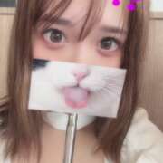 ヒメ日記 2026/06/25 22:36 投稿 かすみ★S級×爆乳最高峰の逸材 Bell～S級美女お姉様・人妻デリヘル～