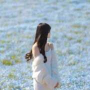 はるか 🩵ここに来れば癒されるそんな場所に🩵 Versailles