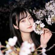 ヒメ日記 2026/04/05 15:04 投稿 はるか Versailles