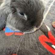 ヒメ日記 2026/02/18 19:31 投稿 レイナ The White