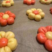 ヒメ日記 2026/02/14 23:12 投稿 もね 香川サンキュー