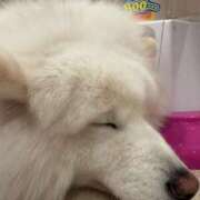 ヒメ日記 2026/03/13 11:28 投稿 える ロイヤルヴィトン(宇都宮)