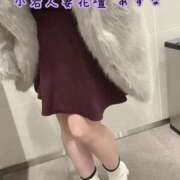 ヒメ日記 2026/02/04 14:00 投稿 あすな 小岩人妻花壇