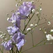 ヒメ日記 2026/02/21 18:16 投稿 KAORU 私はキャサリン