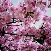 ヒメ日記 2026/03/05 12:36 投稿 KAORU 私はキャサリン