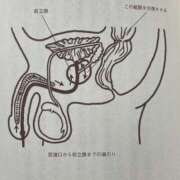 ヒメ日記 2026/03/14 12:25 投稿 KAORU 私はキャサリン
