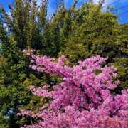 ヒメ日記 2026/03/15 12:15 投稿 KAORU 私はキャサリン