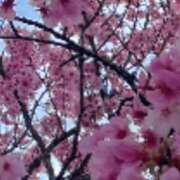 ヒメ日記 2026/03/27 00:28 投稿 KAORU 私はキャサリン