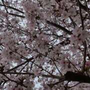 ヒメ日記 2026/03/30 12:20 投稿 KAORU 私はキャサリン