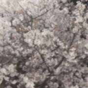 KAORU 4月10日出勤 私はキャサリン