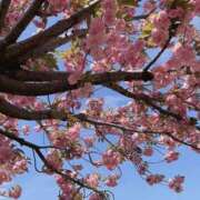 KAORU 4月12日出勤 私はキャサリン