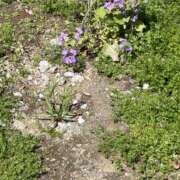 ヒメ日記 2026/04/18 15:14 投稿 KAORU 私はキャサリン