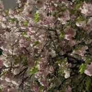 ヒメ日記 2026/04/24 12:15 投稿 KAORU 私はキャサリン