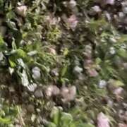 ヒメ日記 2026/04/25 12:20 投稿 KAORU 私はキャサリン