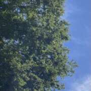 ヒメ日記 2026/05/09 12:13 投稿 KAORU 私はキャサリン