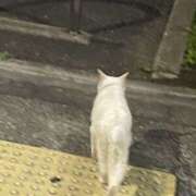 ヒメ日記 2026/07/14 18:25 投稿 KAORU 私はキャサリン