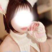 ヒメ日記 2026/03/04 19:06 投稿 愛澤みすず コウテイ