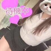 ヒメ日記 2026/03/03 13:04 投稿 山瀬　すみれ OLセレクション宇都宮店