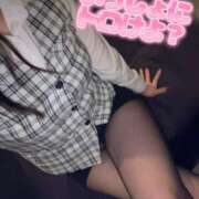 ヒメ日記 2026/03/13 08:58 投稿 山瀬　すみれ OLセレクション宇都宮店