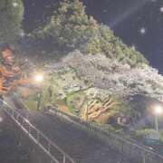 ヒメ日記 2026/04/12 18:51 投稿 山瀬　すみれ OLセレクション宇都宮店
