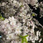 山瀬　すみれ 普段の私ぱしゃり📸😸 OLセレクション宇都宮店