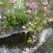 ヒメ日記 2026/04/20 19:04 投稿 山瀬　すみれ OLセレクション宇都宮店