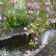 ヒメ日記 2026/04/20 19:12 投稿 山瀬　すみれ OLセレクション宇都宮店