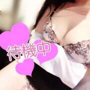 ヒメ日記 2026/04/26 11:41 投稿 山瀬　すみれ OLセレクション宇都宮店