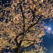 ヒメ日記 2026/04/03 00:19 投稿 ゆな オナクラ大人女子